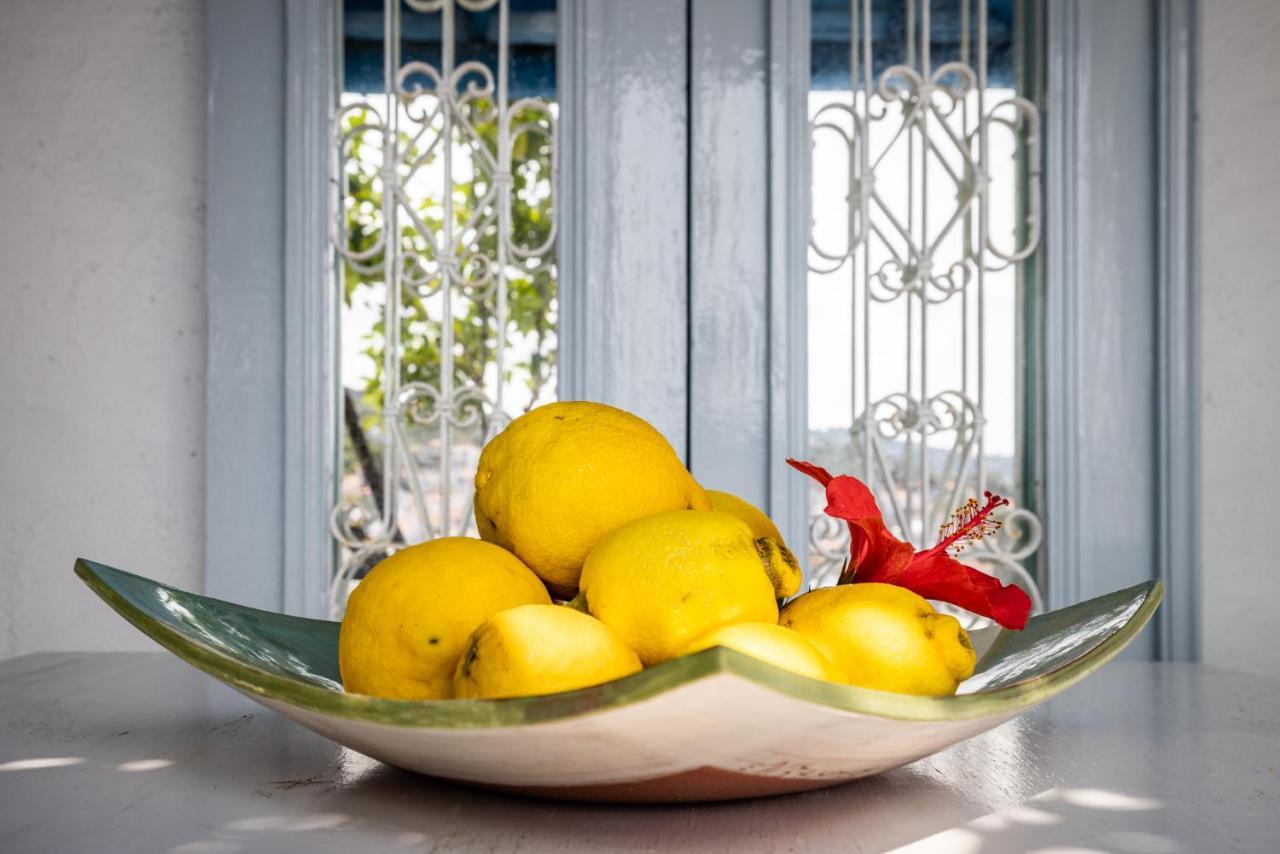 Vila The Lemon Tree House Skopelos Exteriér fotografie